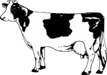 korova cb1cb